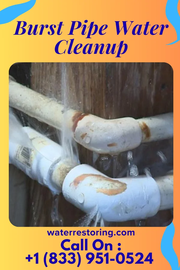 Burst Pipe Water Cleanup in Durand, IL