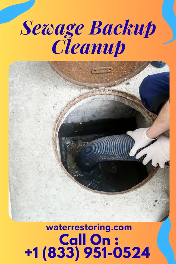 Sewage Backup Cleanup in Durand, IL